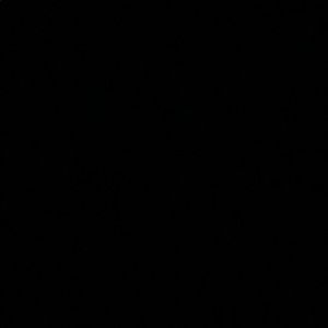 Meet your Posher, Blake